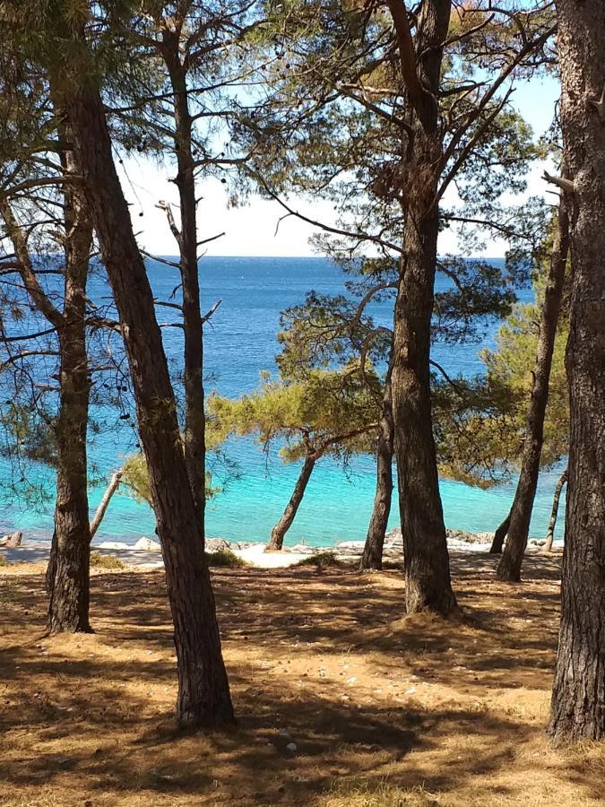 Vlasta Mali Losinj Exterior photo