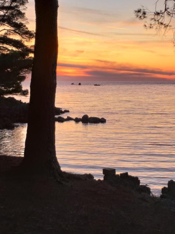 Vlasta Mali Losinj Exterior photo
